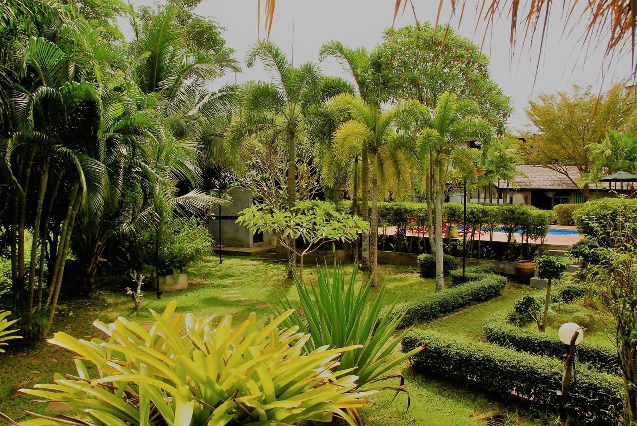 Cozy Garden