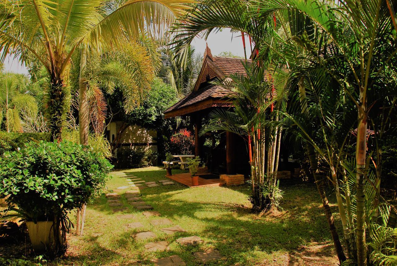 Cozy Garden